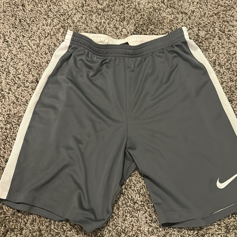 Nike Shorts, grey and white stripes on side. Men’s large.